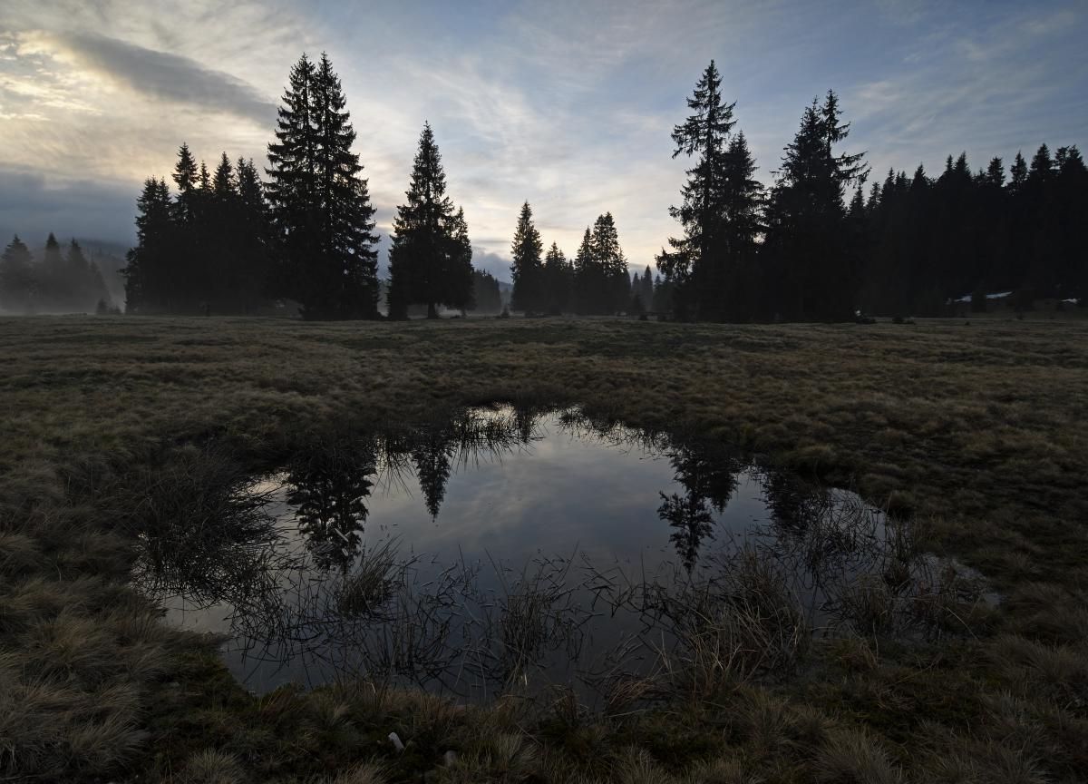 Násfayné Kőházi Mária