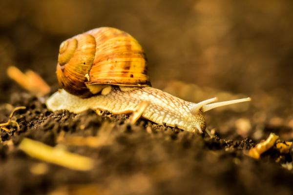 eső utáni terepszemle