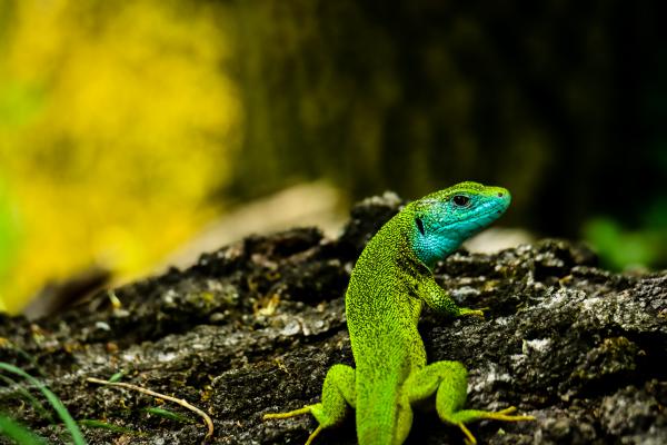 siess azzal a képpel, mert én sem érek rá