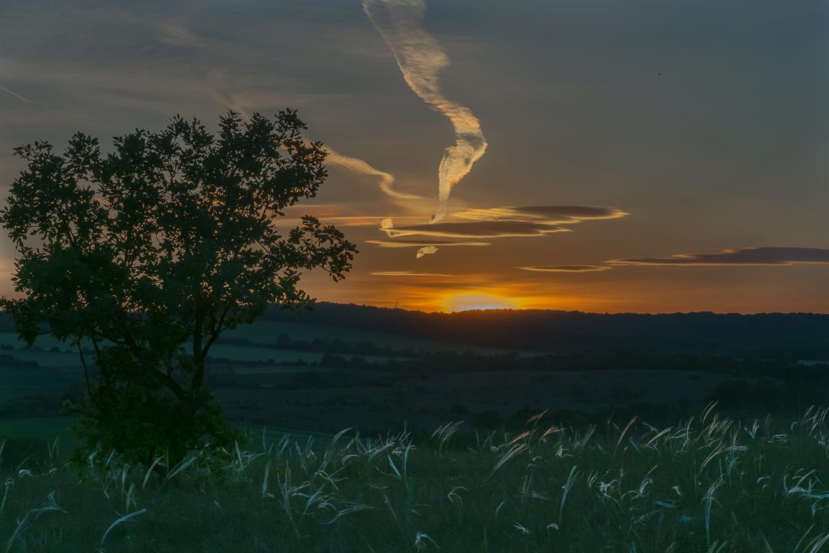 Gaál Zoltán Péter