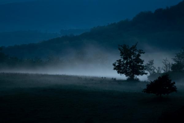 Már csak egy szarvas hiányzik