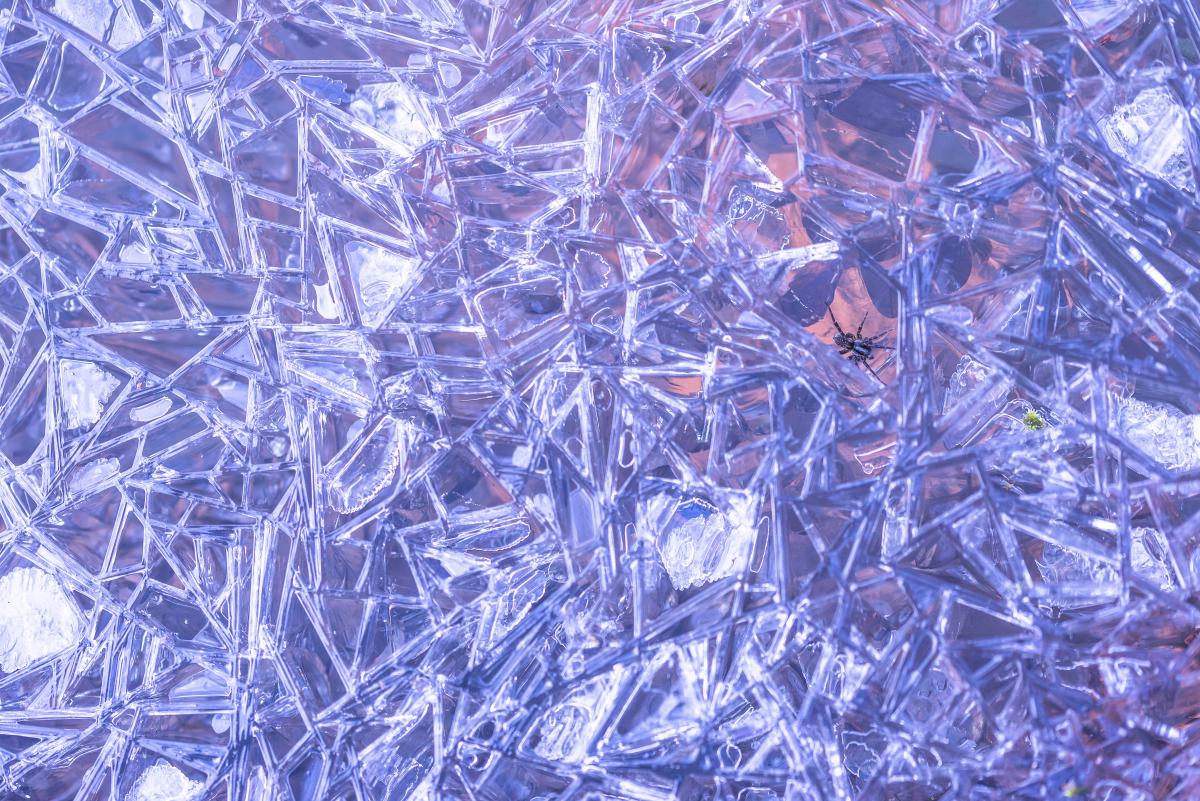 Darányiné Bakos Éva