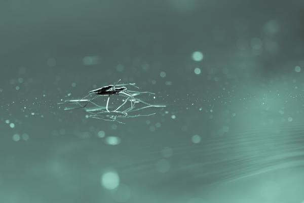 Felszínes kapcsolat