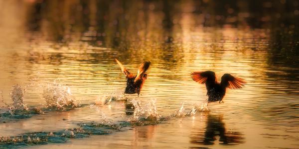 Kifutunk az időből...