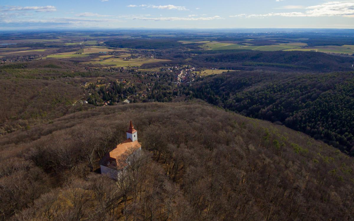 Koncz-Bisztricz Tamás