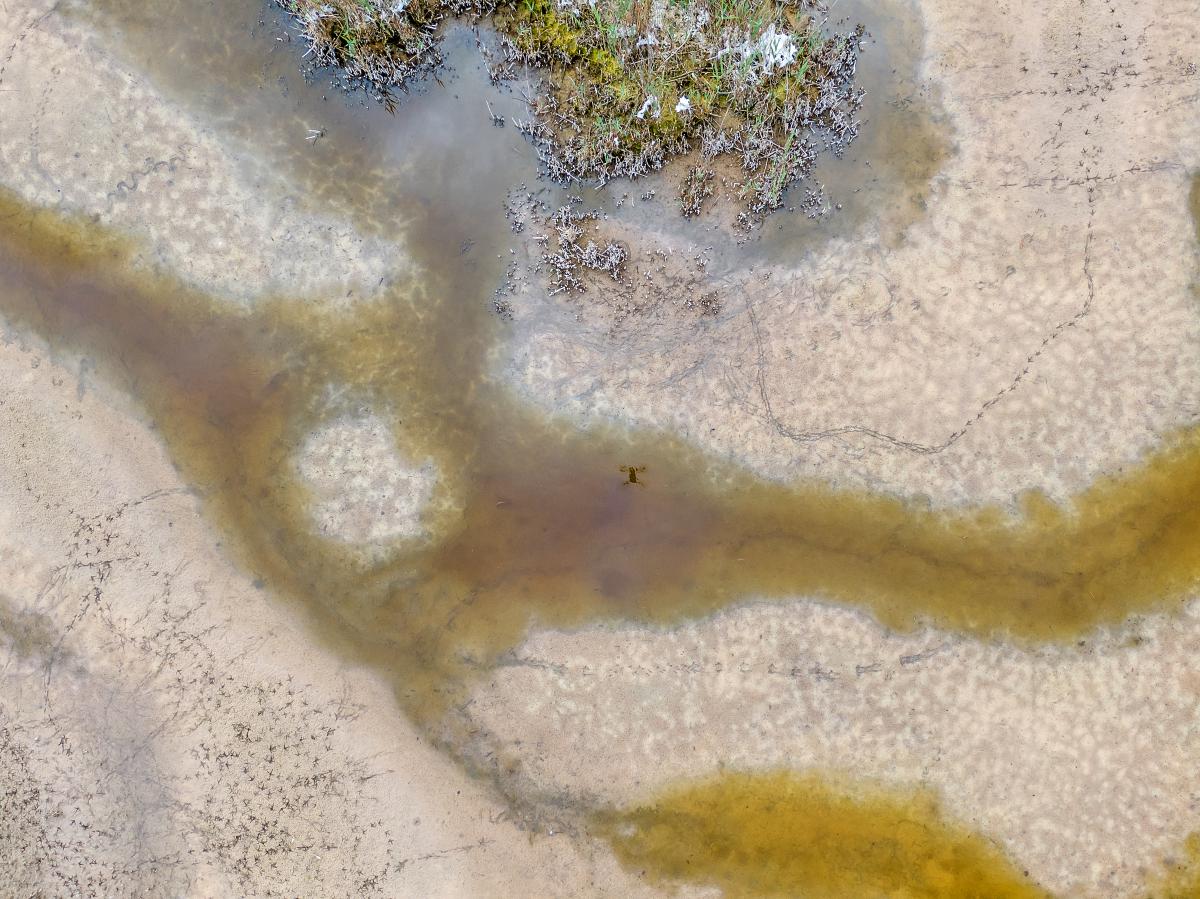 Gaál Zoltán Péter