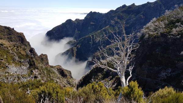 Madeira útban a Pico Ruivo -ra