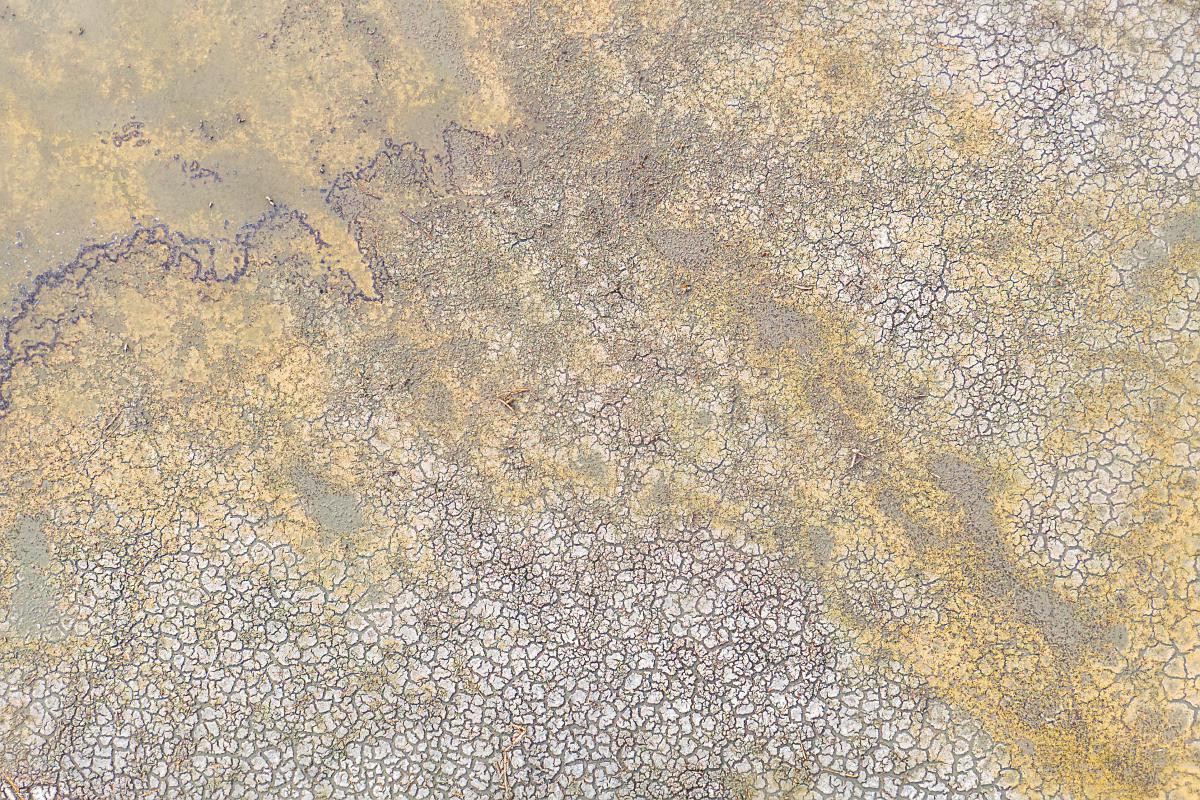 Gaál Zoltán Péter