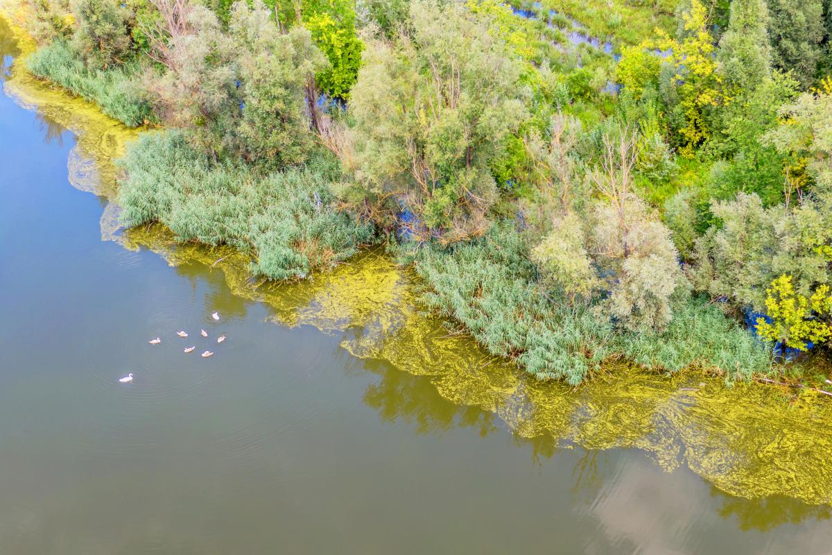 Gaál Zoltán Péter