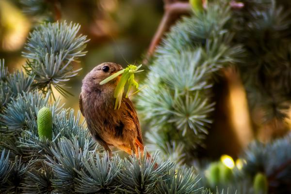 Kettőt egy csapásra