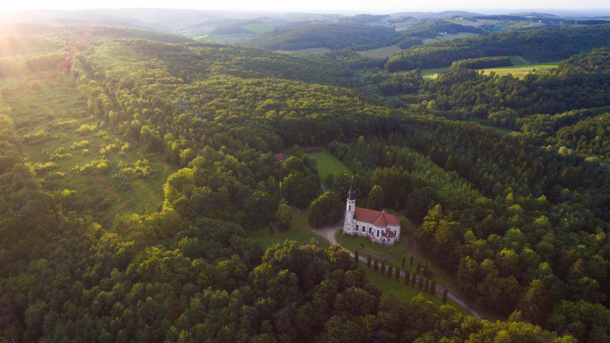 Koncz-Bisztricz Tamás