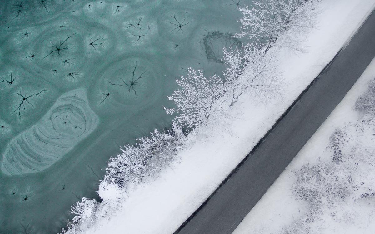 Koncz-Bisztricz Tamás