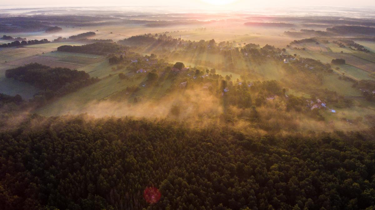 Koncz-Bisztricz Tamás