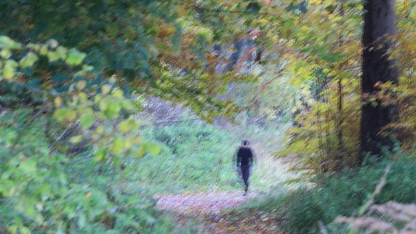 Impresszionisták a bükkben