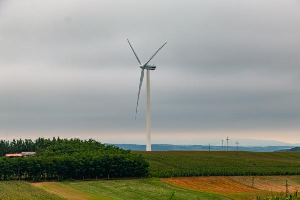 A természet erejével