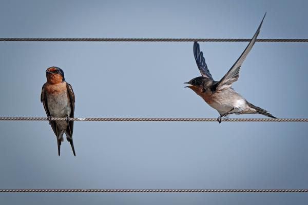 Nem akartalak megbántani!