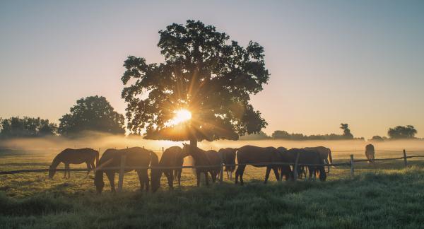 Augusztus első napkeltéje