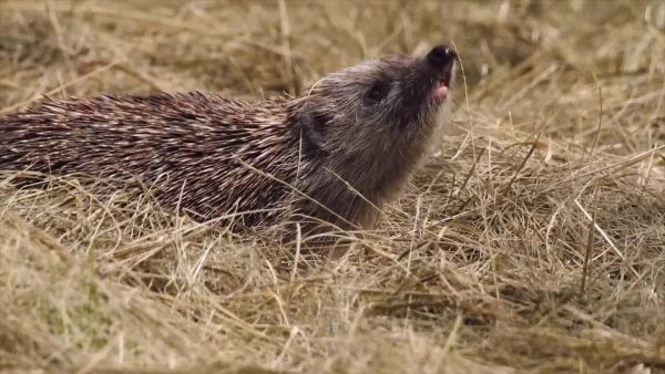 Van valami a levegőben
