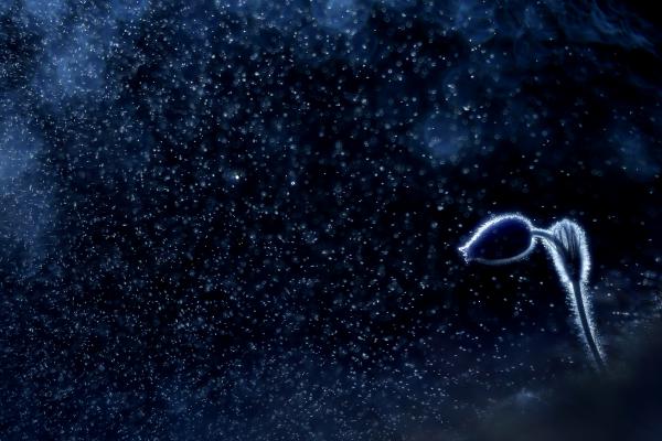 Gyémánt porral hintve