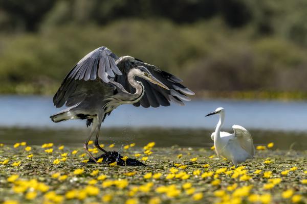 Ez itt az én helyem