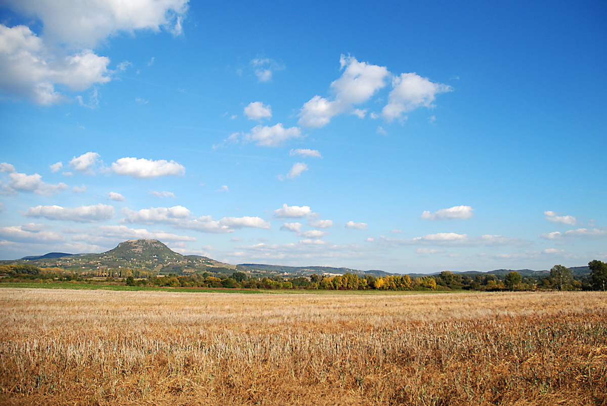 Gaál Zoltán Péter