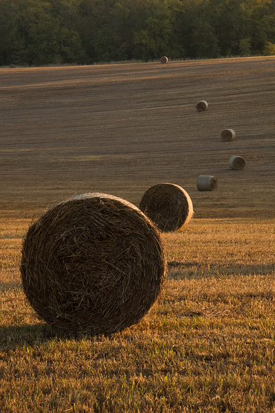 A csillagászok játszadoztak