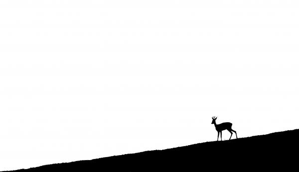 Dombtetőkön baktató