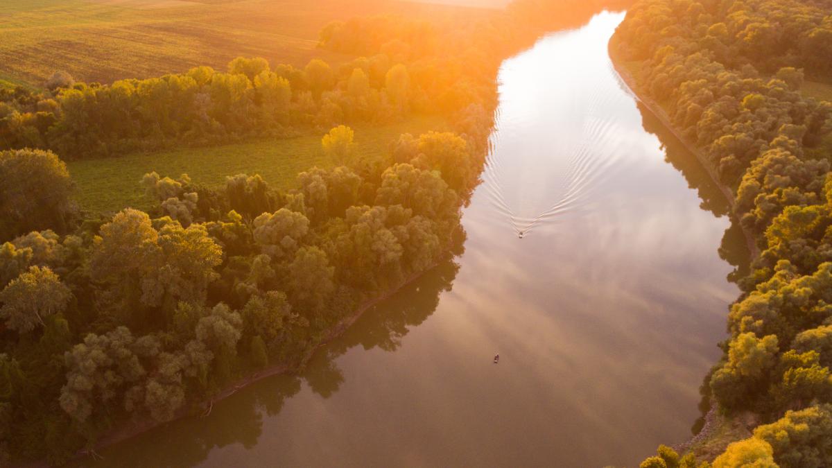Koncz-Bisztricz Tamás