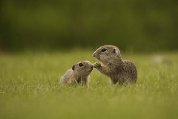 Kérlek,légy a feleségem
