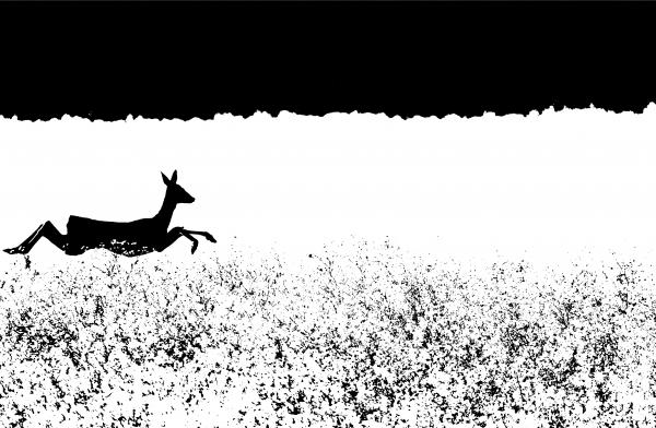 Mezők felett repülő