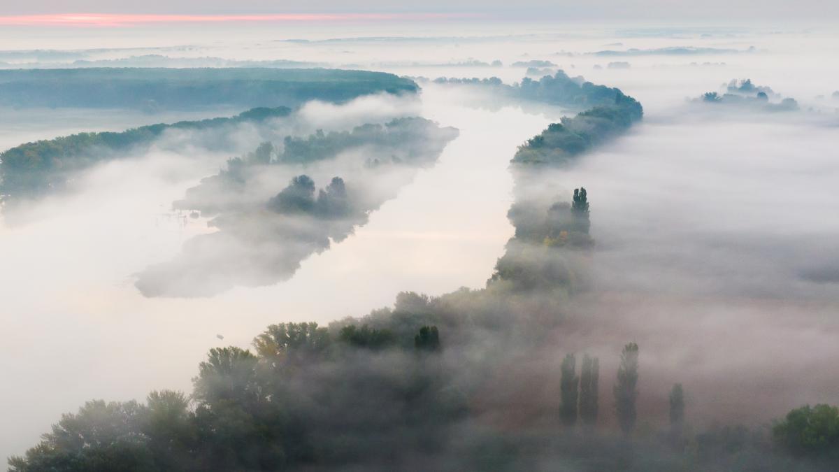 Koncz-Bisztricz Tamás