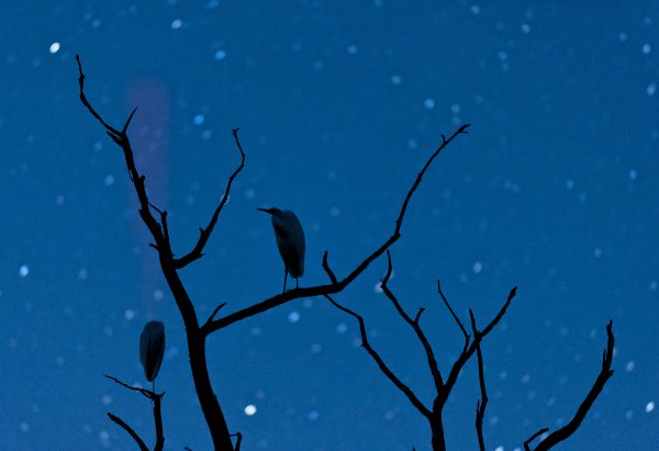 Sokcsillagos szálloda