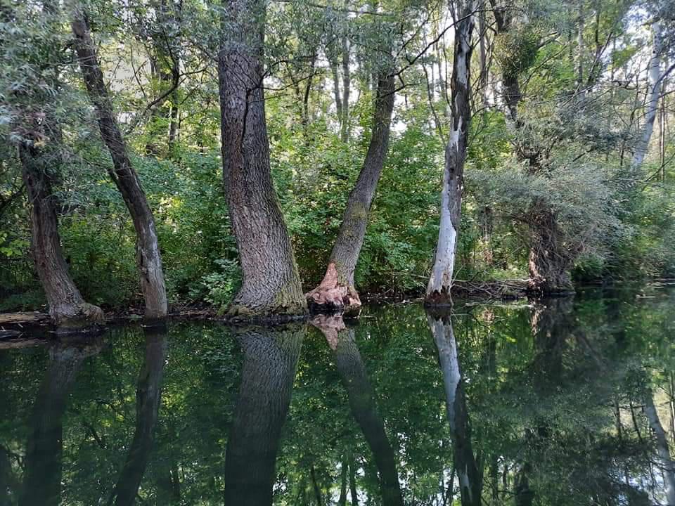 Schubkégel Krisztina