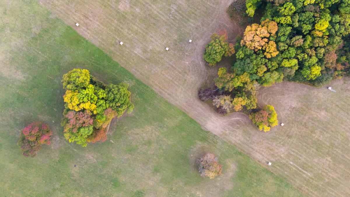 Koncz-Bisztricz Tamás