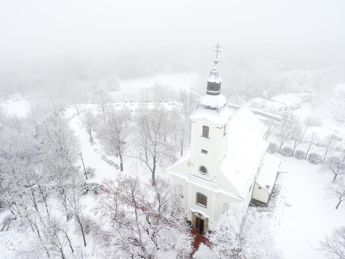 Koncz-Bisztricz Tamás