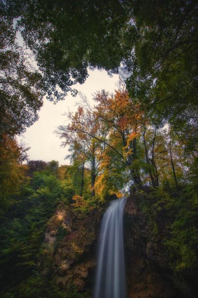Ablak a fák között
