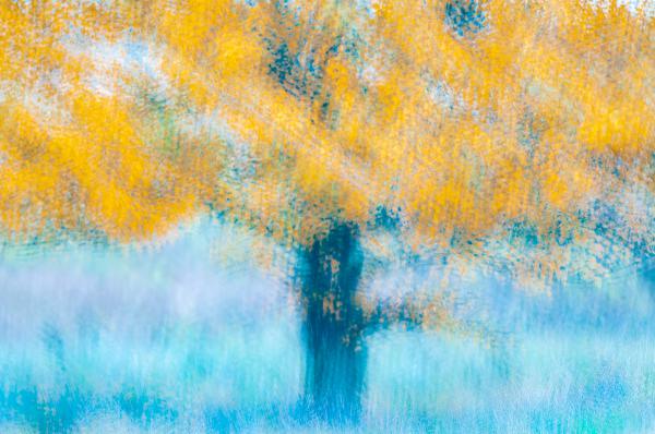 Fénnyel festett ősz.