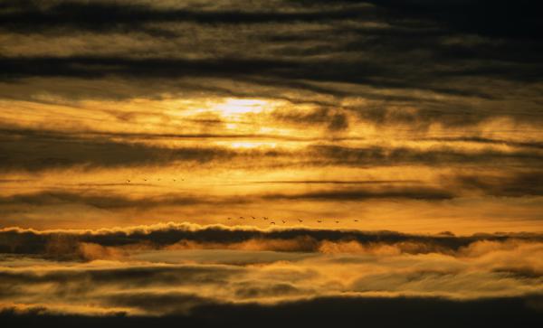 Hortobágyi mennyország