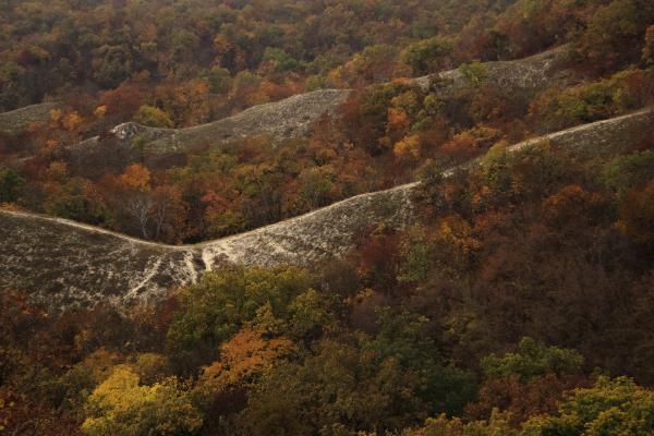 Cserszömörcés táj