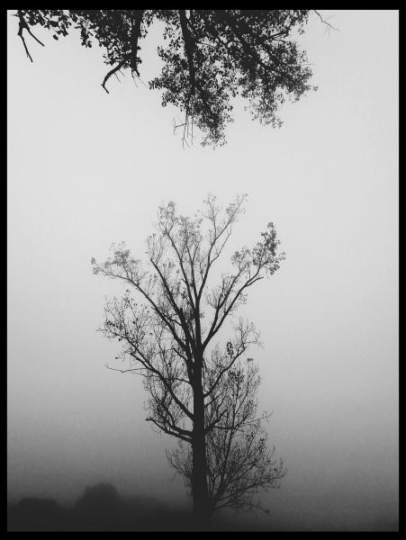 A természet ölelése.