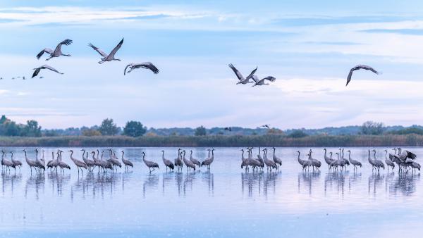 Hajnali készülődés