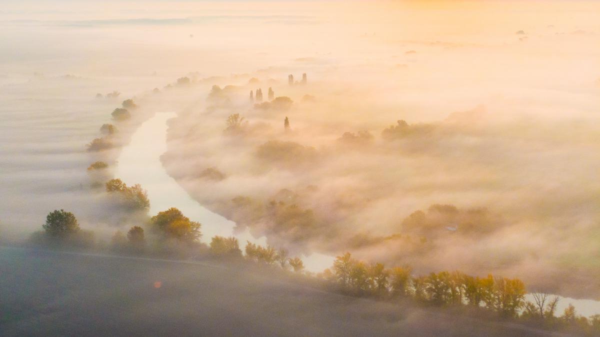 Koncz-Bisztricz Tamás