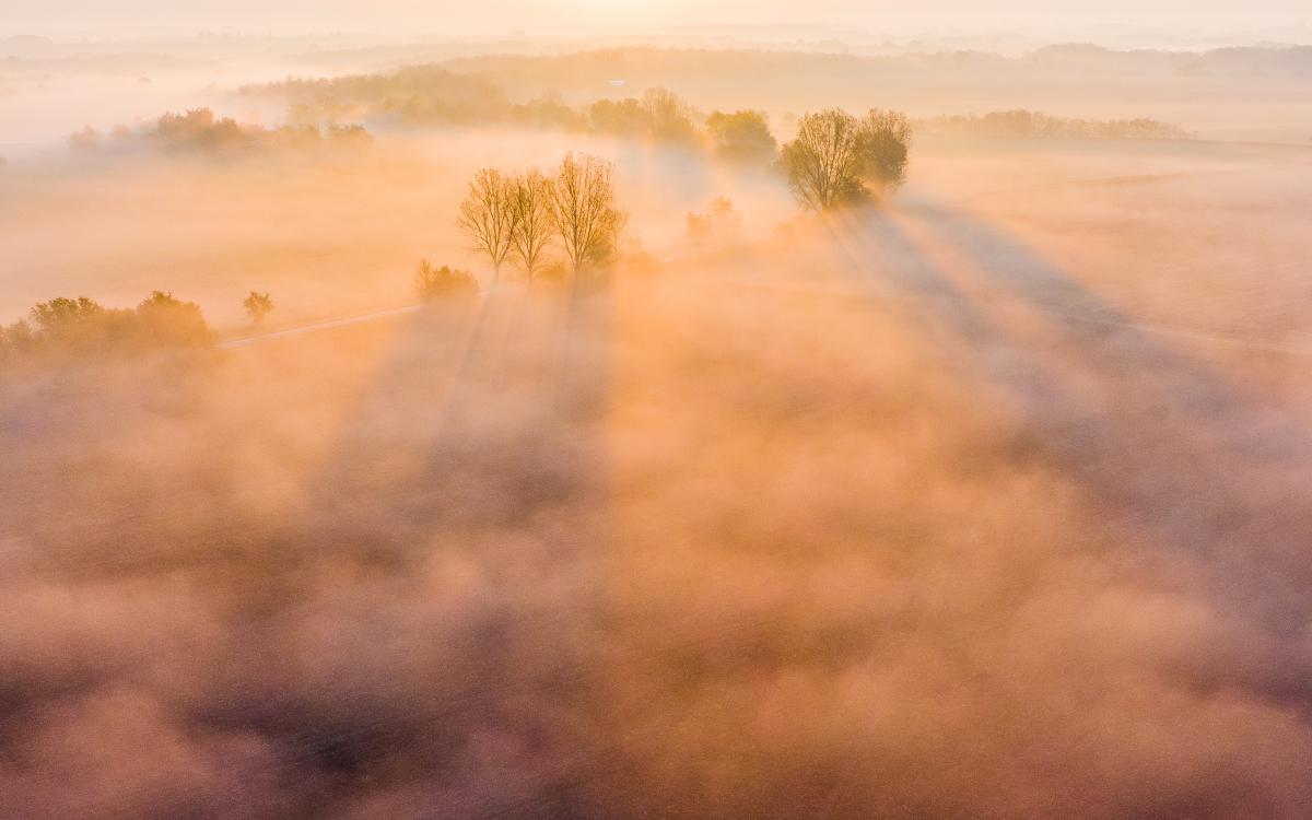 Koncz-Bisztricz Tamás
