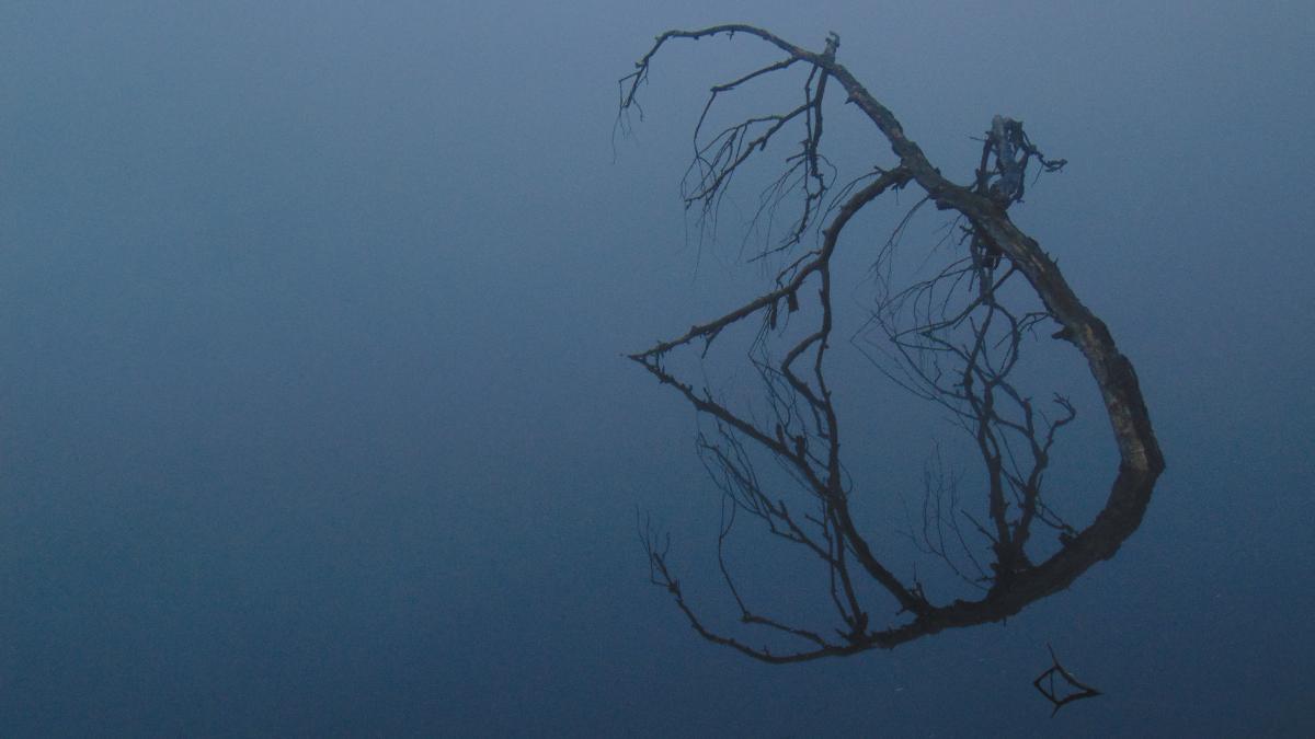 Kónya Máté Bertalan