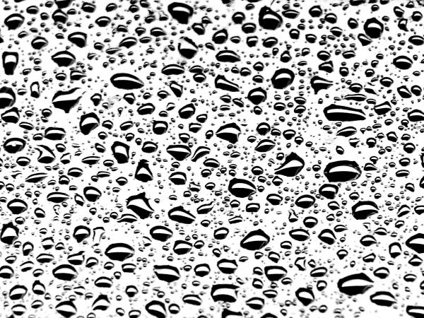 Csupa száj vagyok...