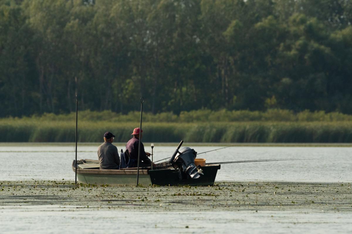 Gémné Kovács Anita