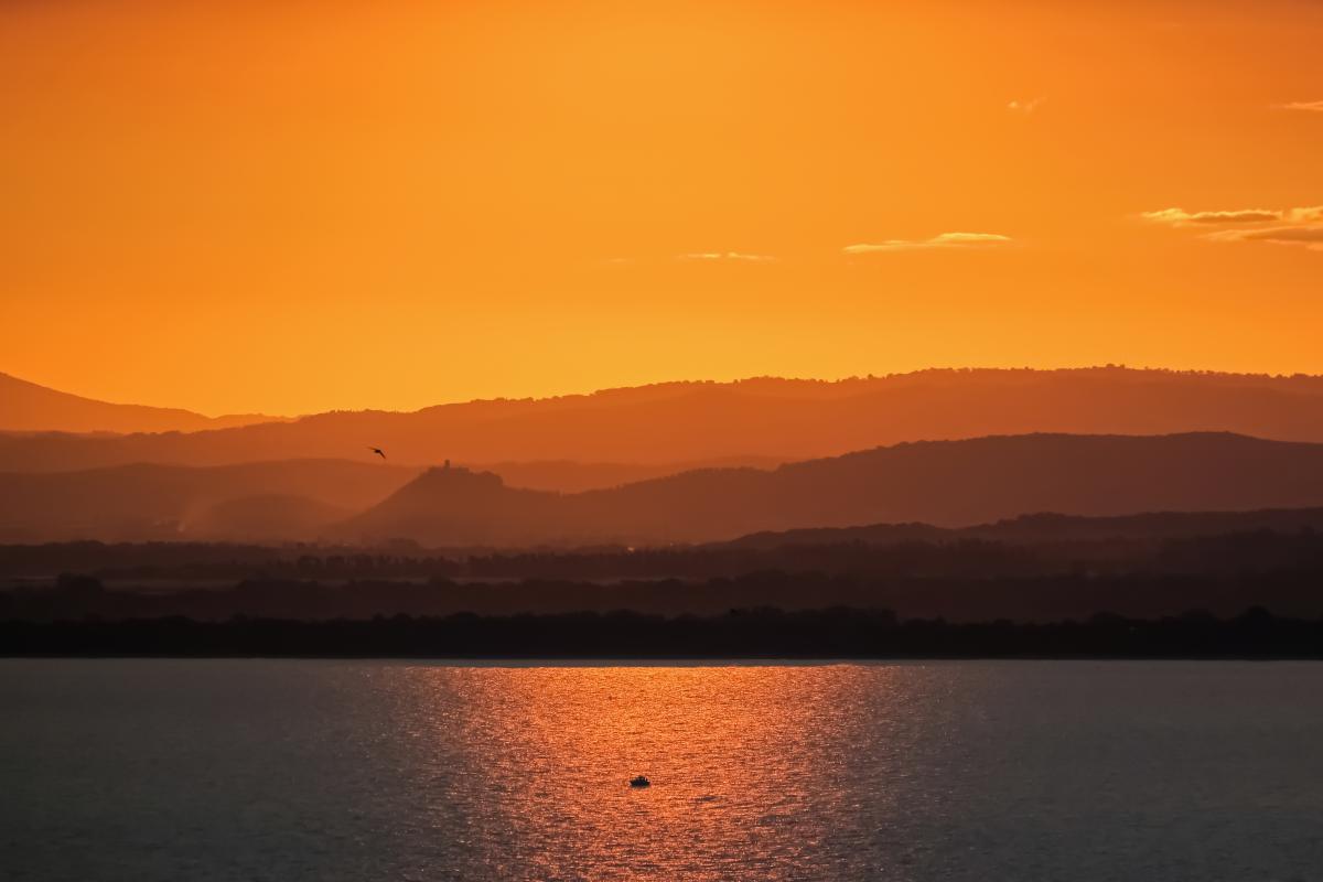 Bernáth Sándor dr. 