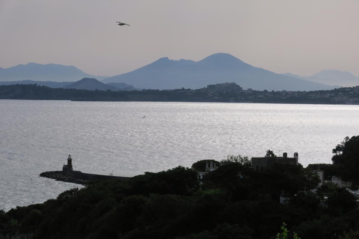 Bernáth Sándor dr.