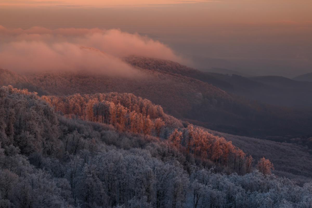 Gyenti-Kálvin Kinga