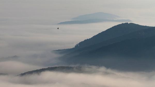 Reggeli szárnyalás